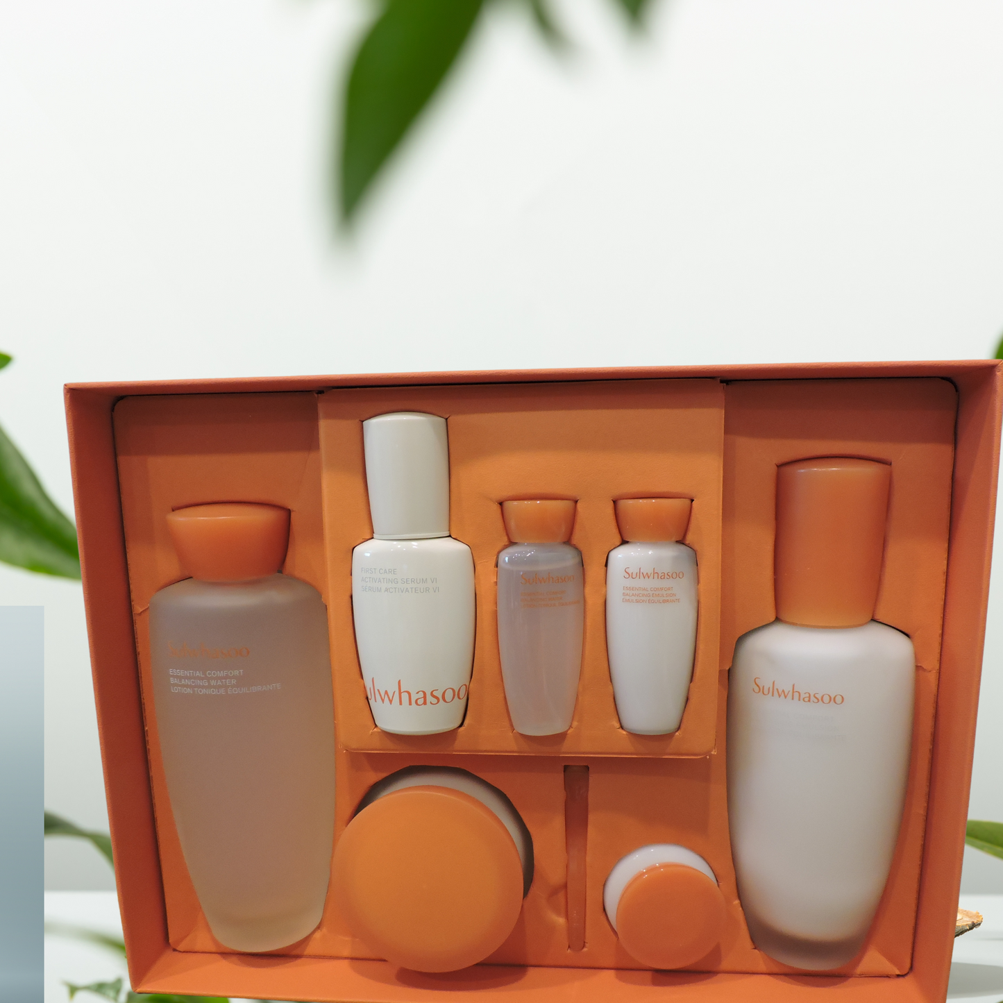 Sulwhasoo Essential Comfort Firming 3Pcs Special Set Anti-Wrinkle