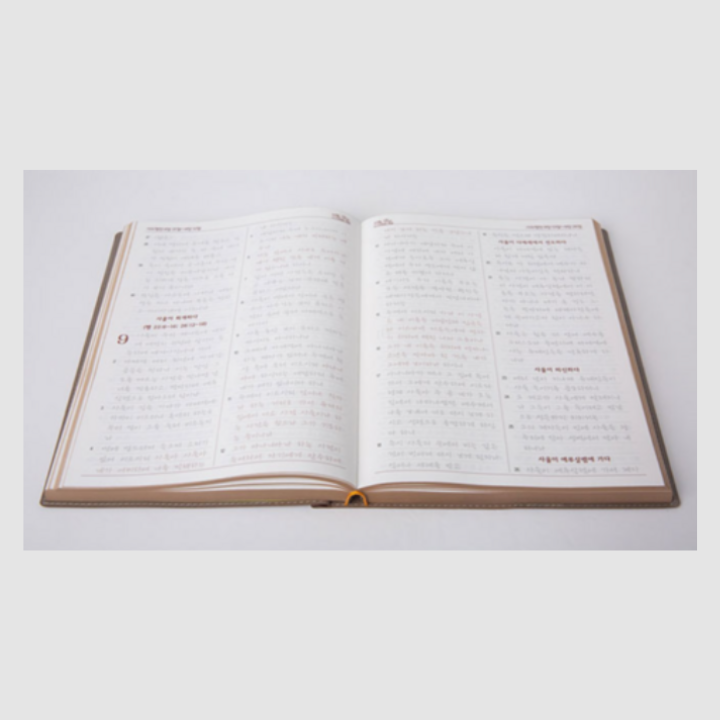 New Testament Bible Tracing & Writing Book