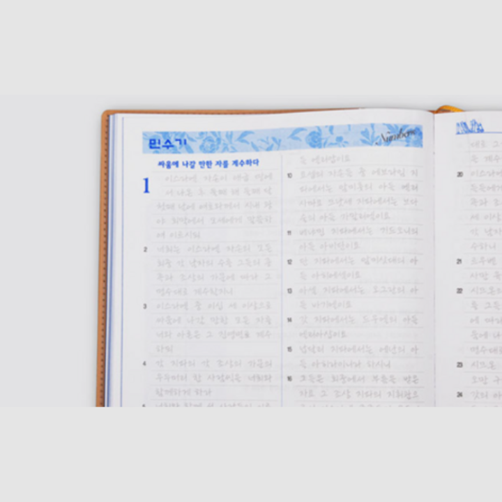 New Testament Bible Tracing & Writing Book