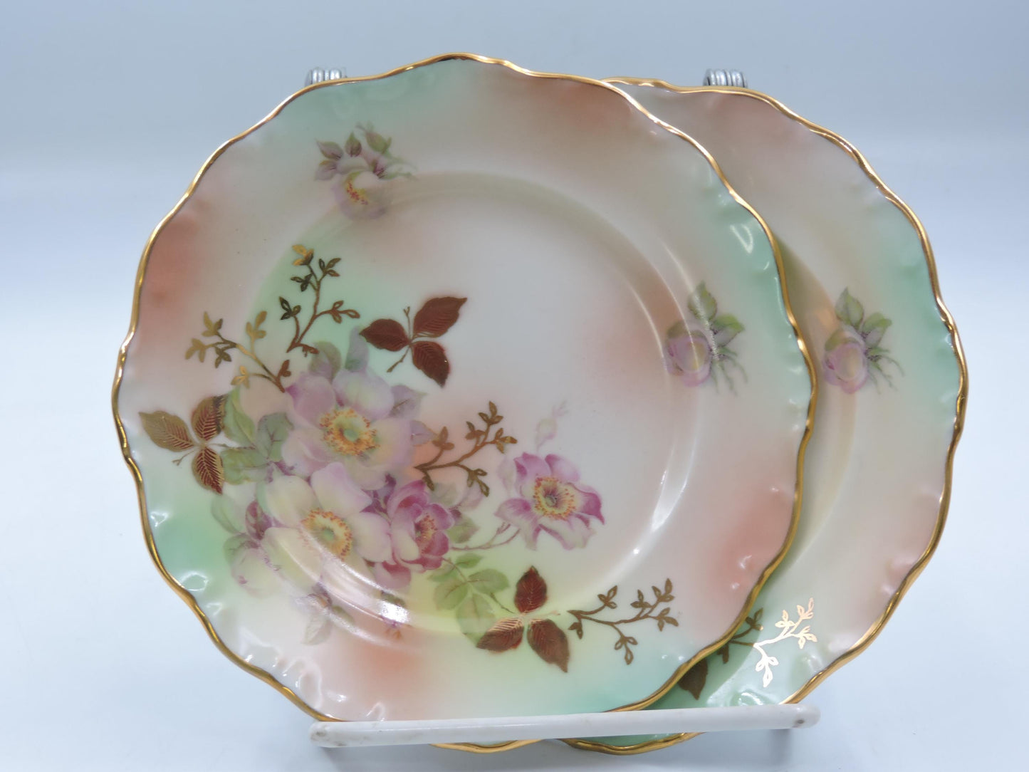 Vintage Schumann Arzberg Germany  Bread & Butter Plate Set of 2 #124