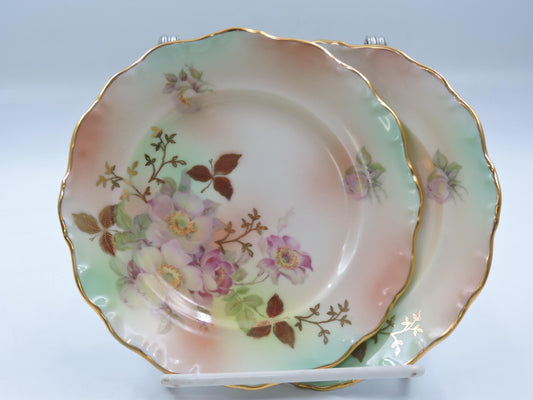 Vintage Schumann Arzberg Germany Bread & Butter Plate Set of 2 #124