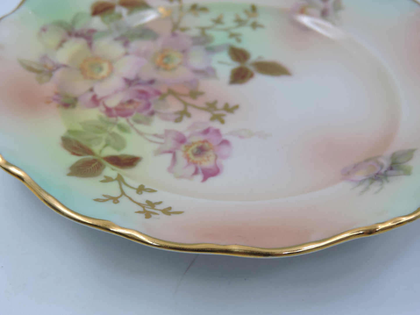 Vintage Schumann Arzberg Germany  Bread & Butter Plate Set of 2 #124