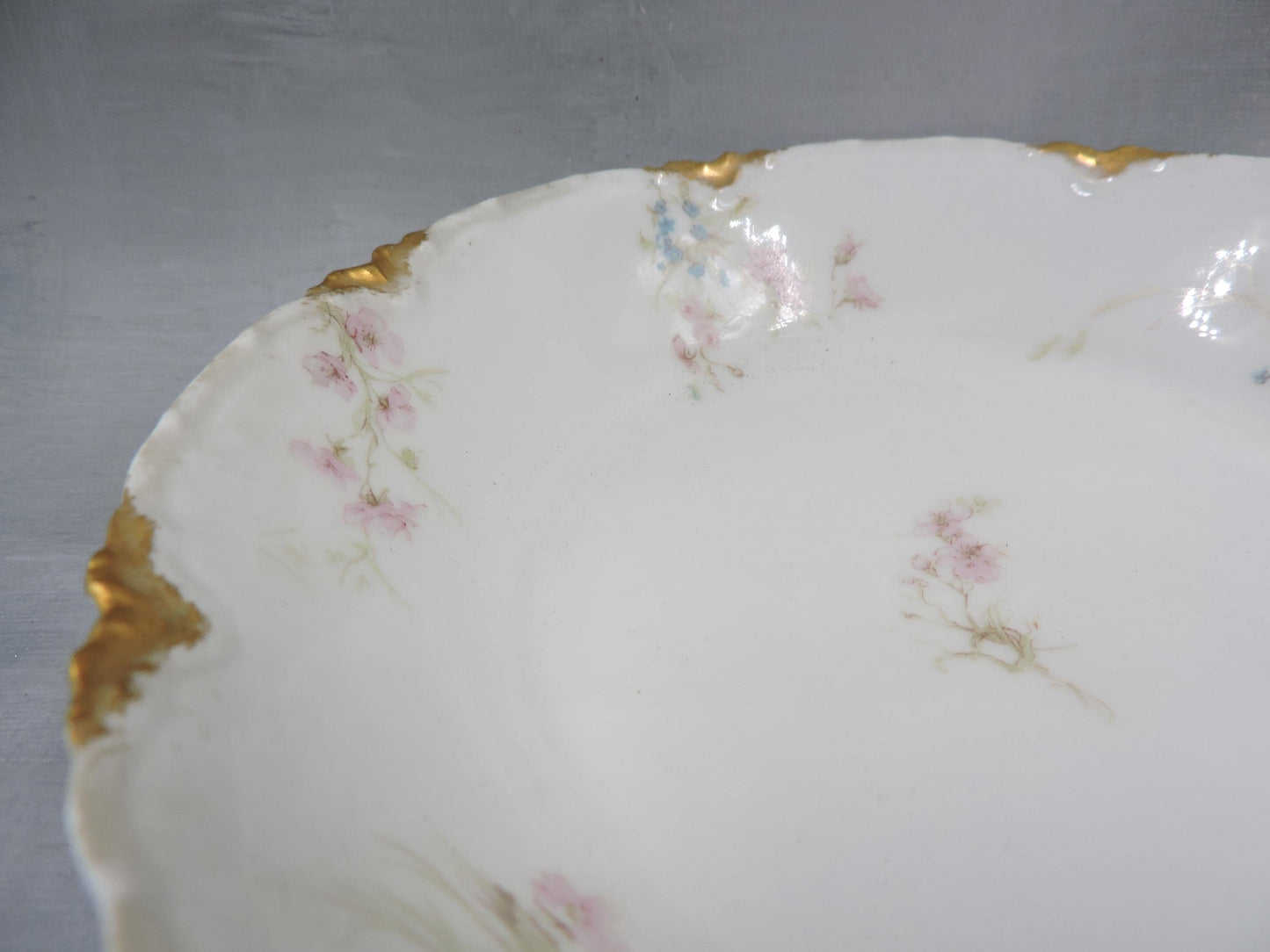 Haviland Limoge Soup Bowl