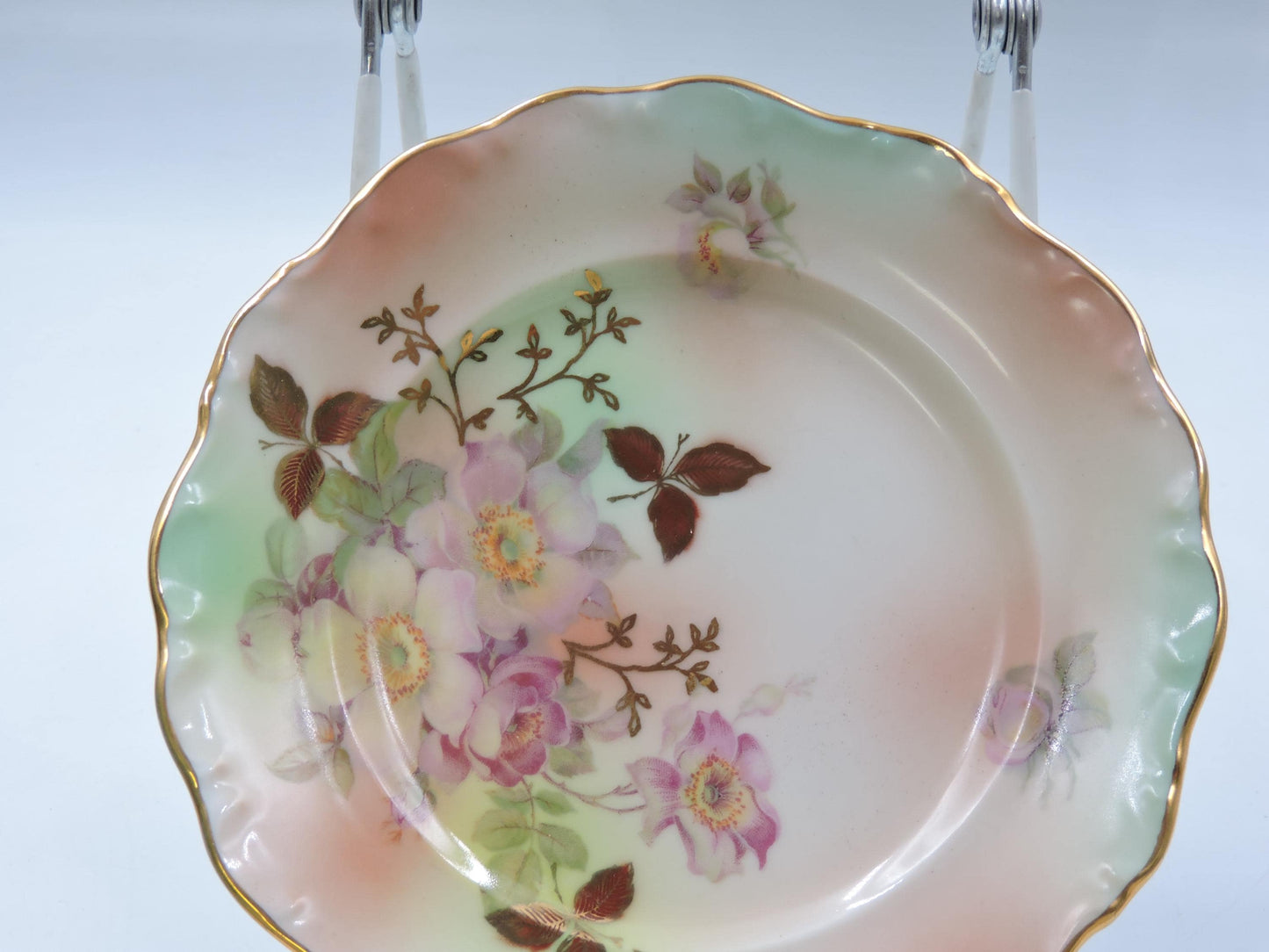 Vintage Schumann Arzberg Germany  Bread & Butter Plate Set of 2 #124