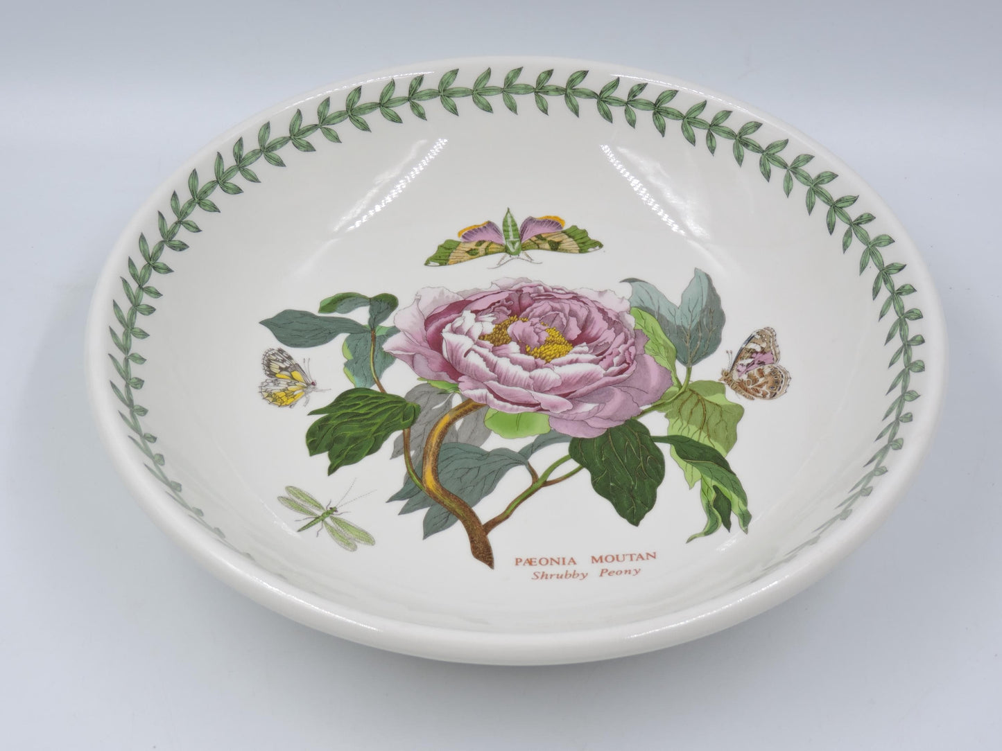 Portmeirion Botanic Garden 10.5" Low Pasta Bowl (Old Stamp)
