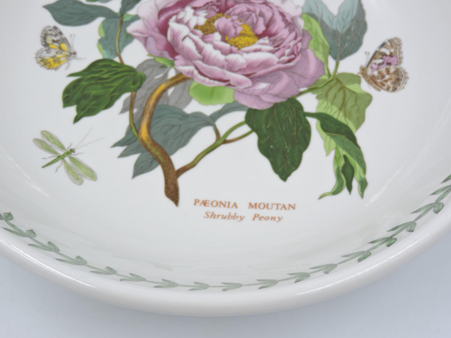 Portmeirion Botanic Garden 10.5" Low Pasta Bowl (Old Stamp)