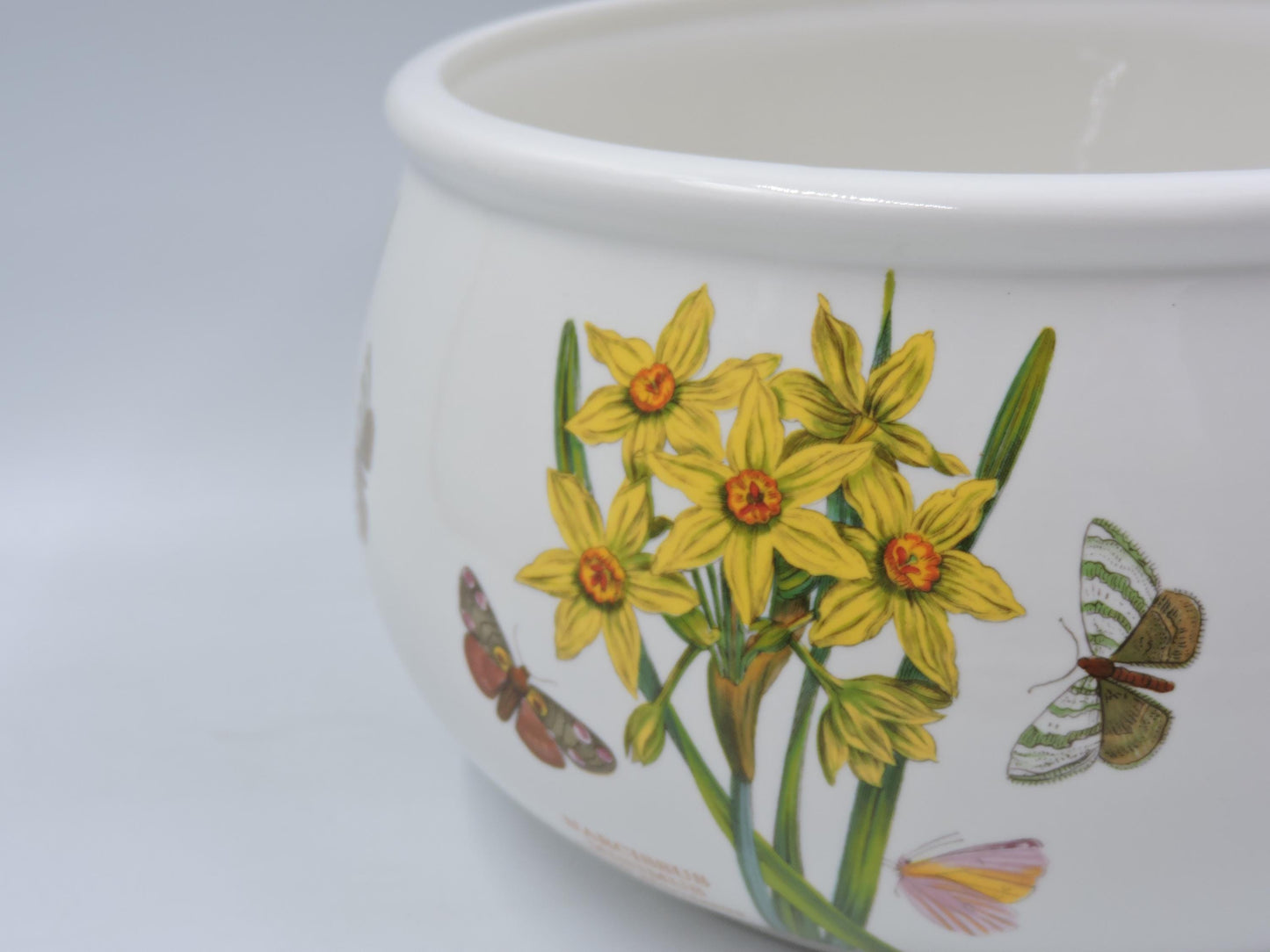 Portmeirion Botanic Garden  Open Casserole Dish