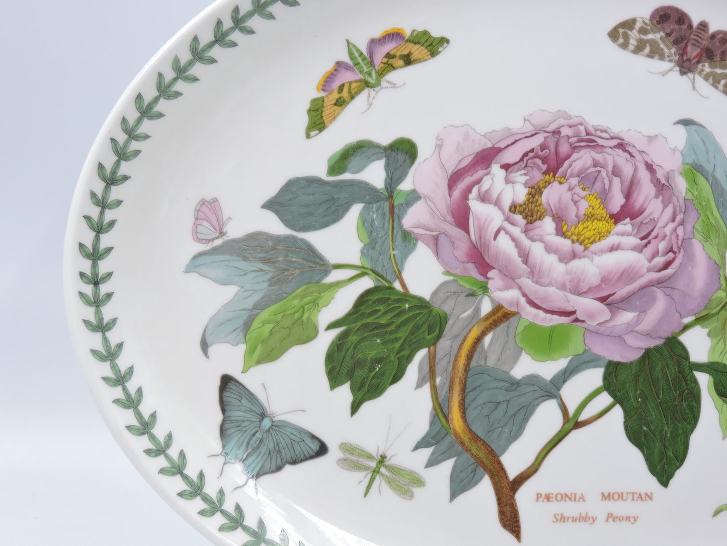 Portmeirion Botanic Garden Oval Serving Platter (Old Stamp)