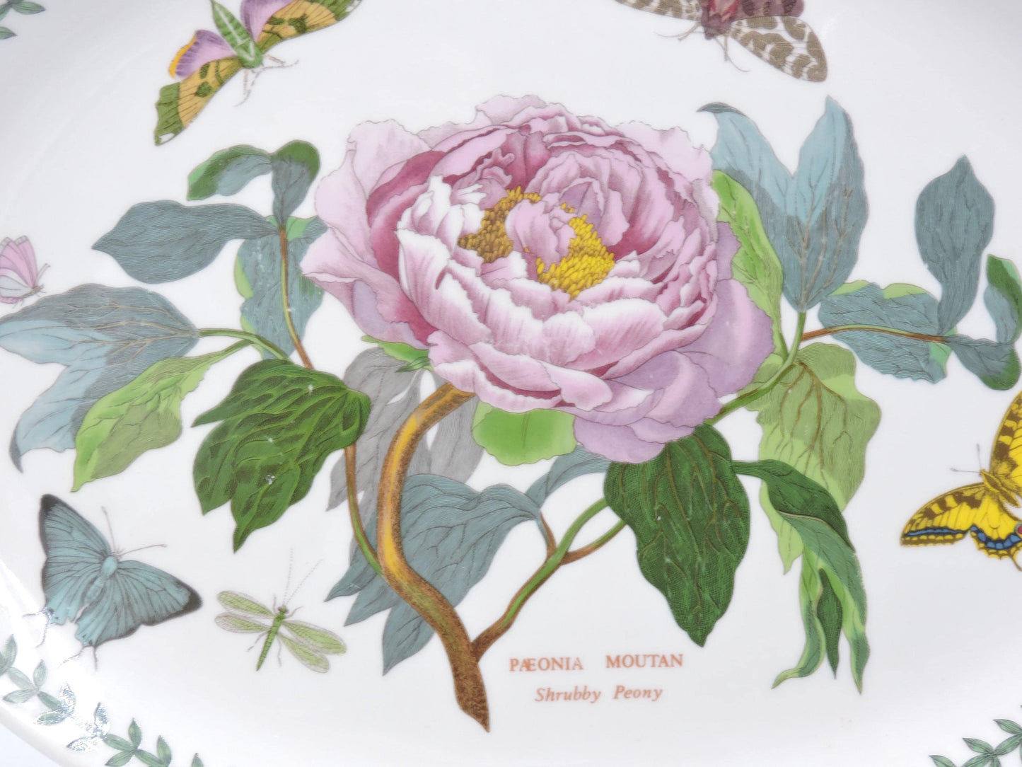 Portmeirion Botanic Garden Oval Serving Platter (Old Stamp)