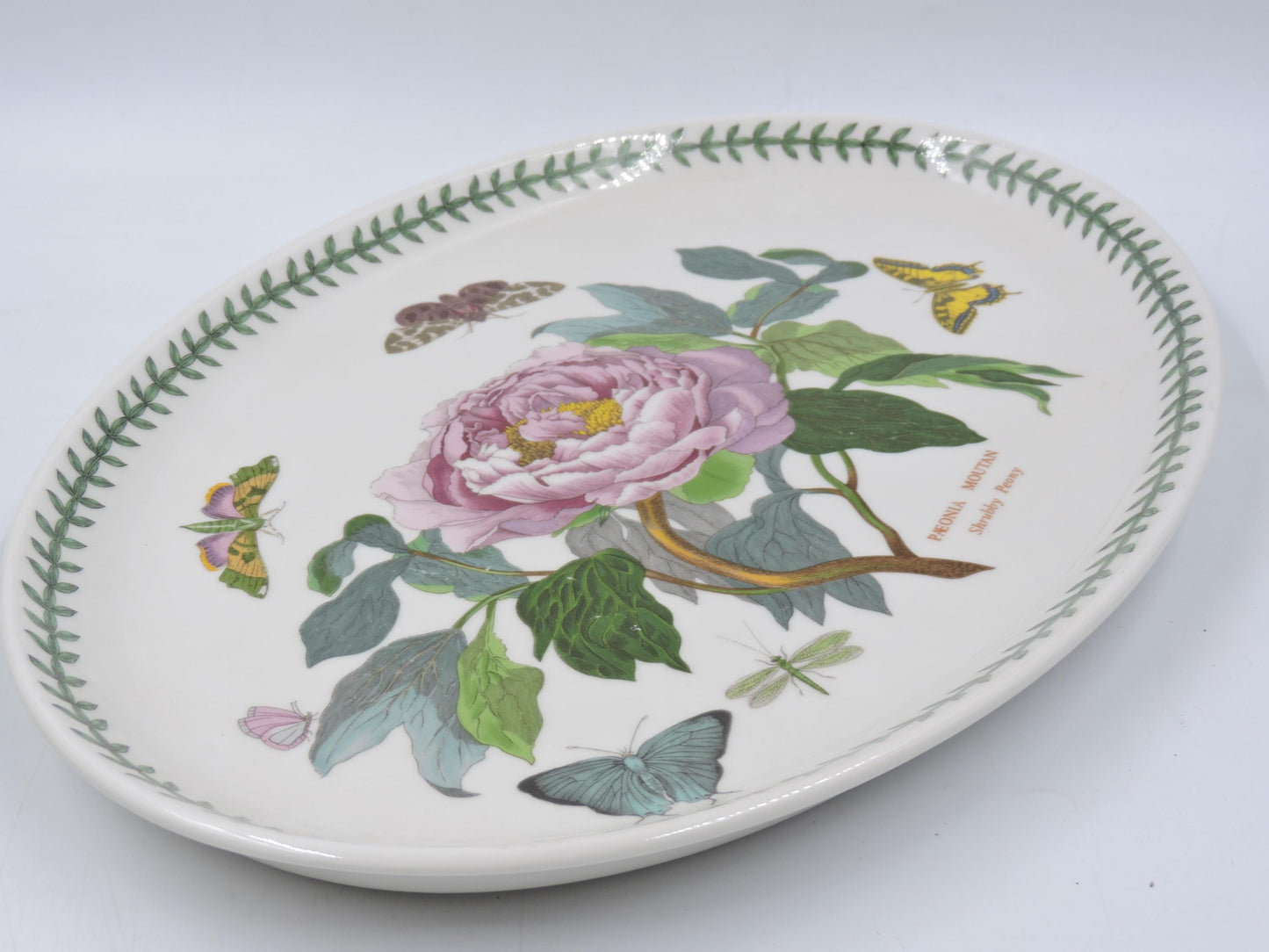 Portmeirion Botanic Garden Oval Serving Platter (Old Stamp)