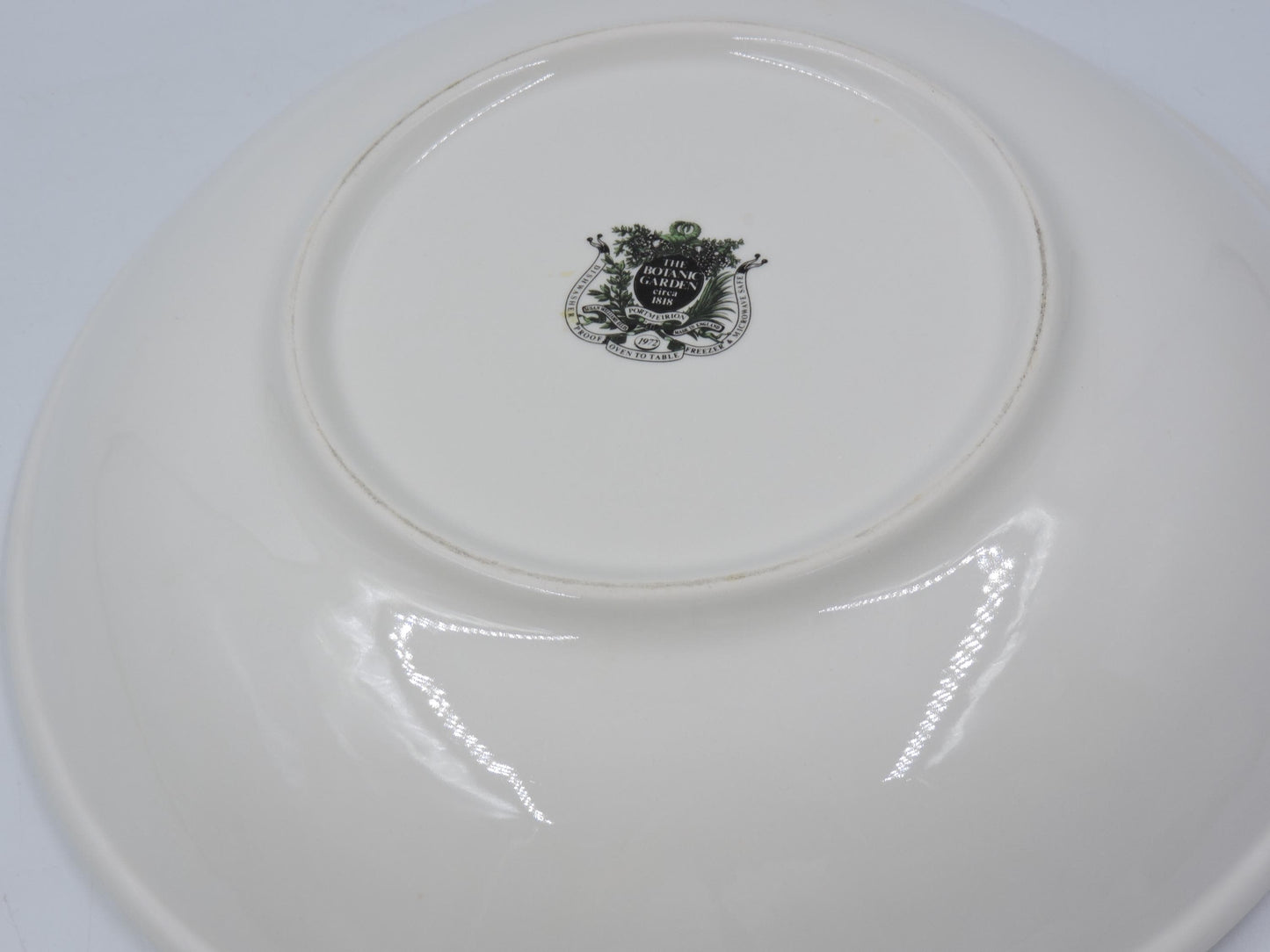 Portmeirion Botanic Garden 10.5" Low Pasta Bowl (Old Stamp)