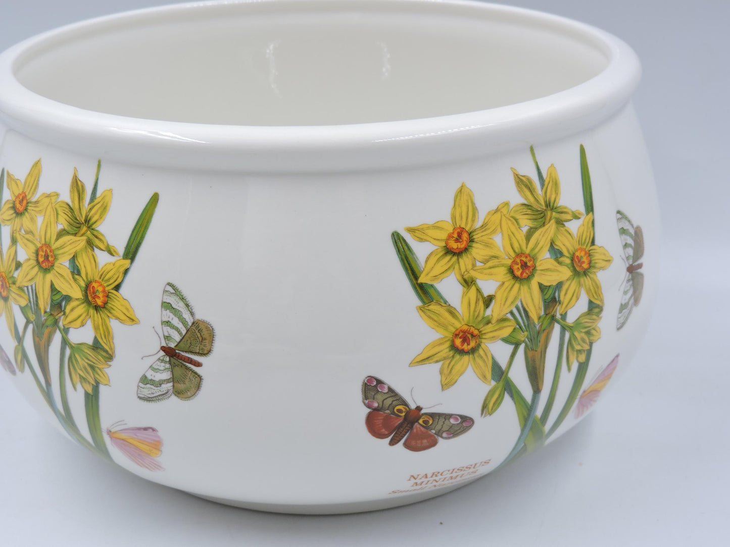 Portmeirion Botanic Garden  Open Casserole Dish