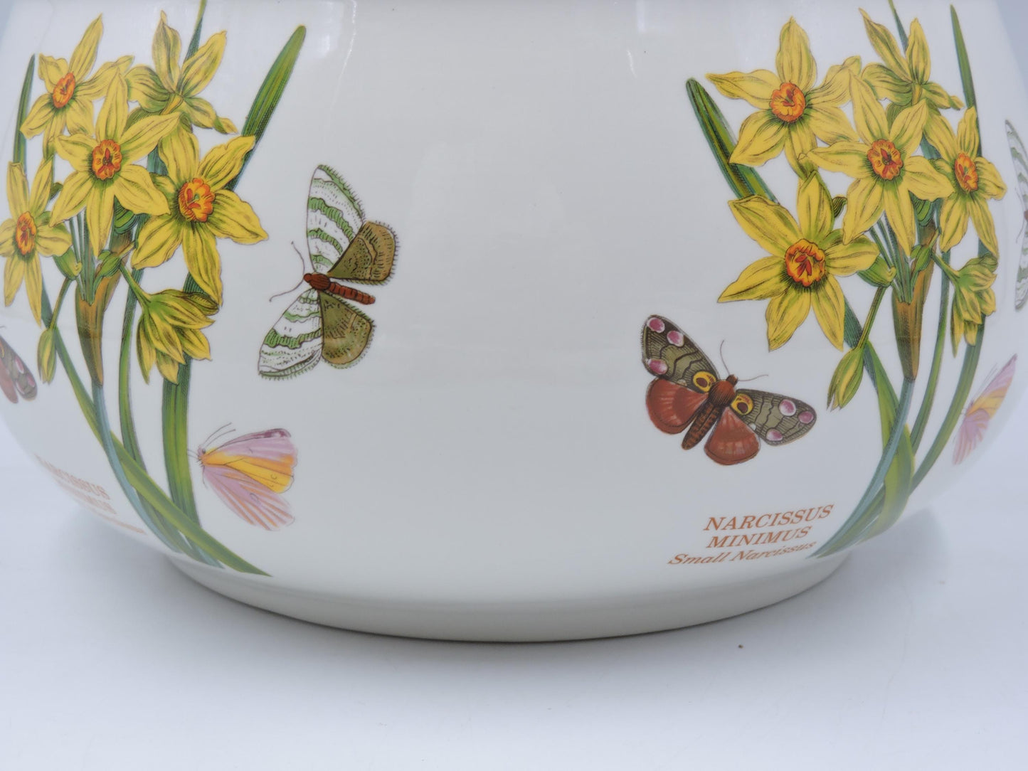 Portmeirion Botanic Garden  Open Casserole Dish