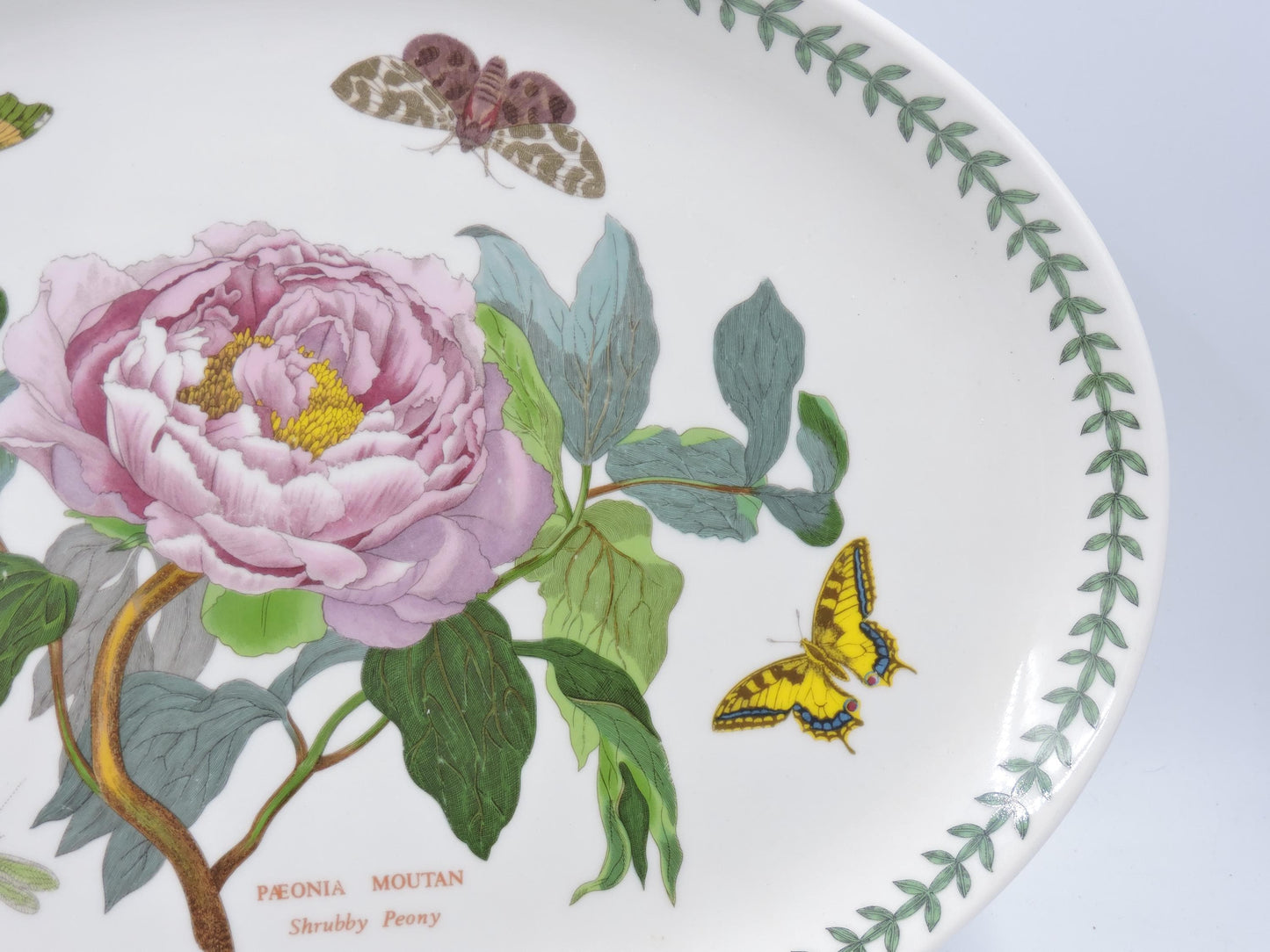 Portmeirion Botanic Garden Oval Serving Platter (Old Stamp)