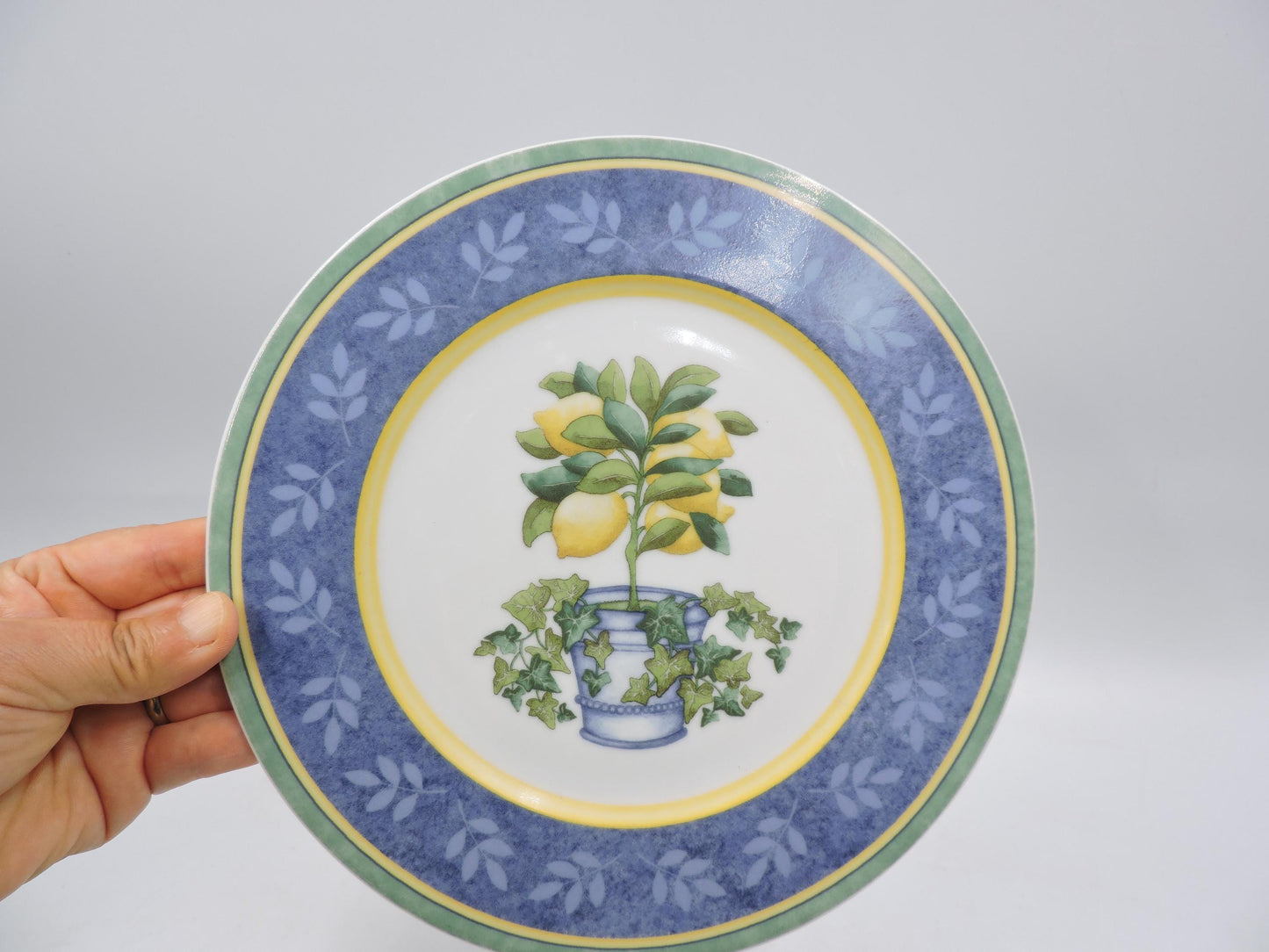 Villeroy & Boch Switch 3 Corfu and Costa Salad Plates