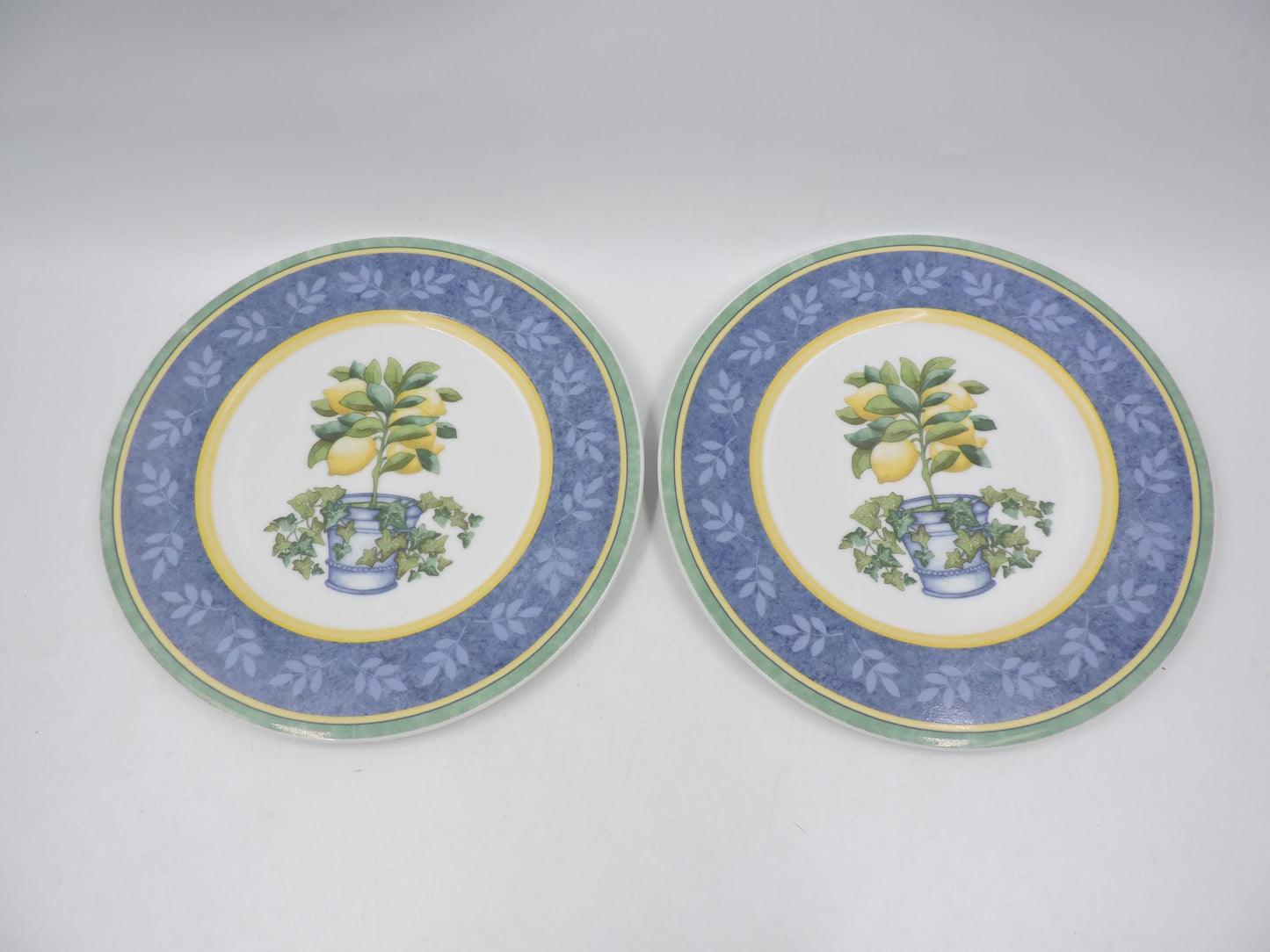 Villeroy & Boch Switch 3 Corfu Salad Plates 2Pcs