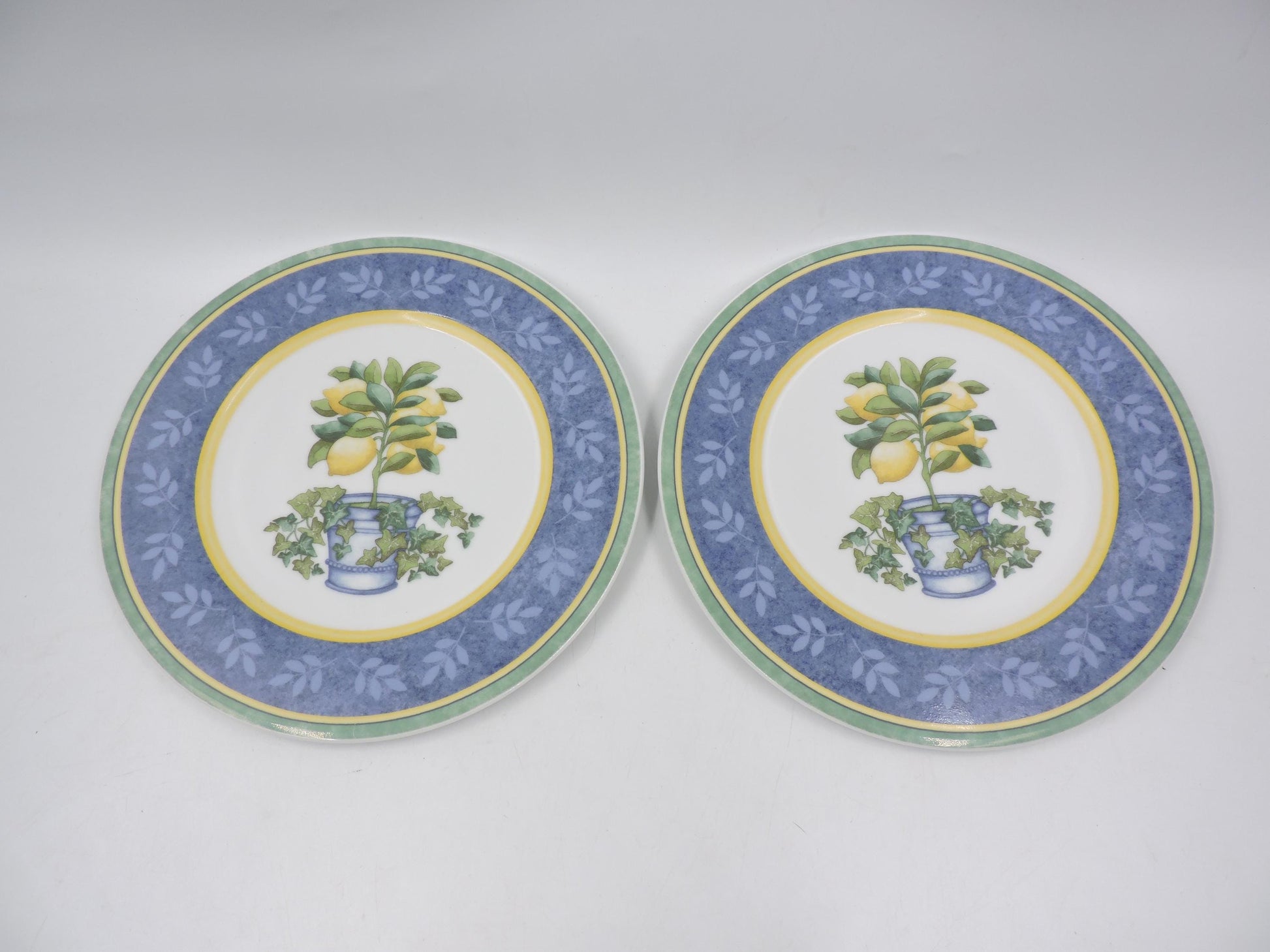 Villeroy & Boch Switch 3 Corfu Salad Plates 2Pcs