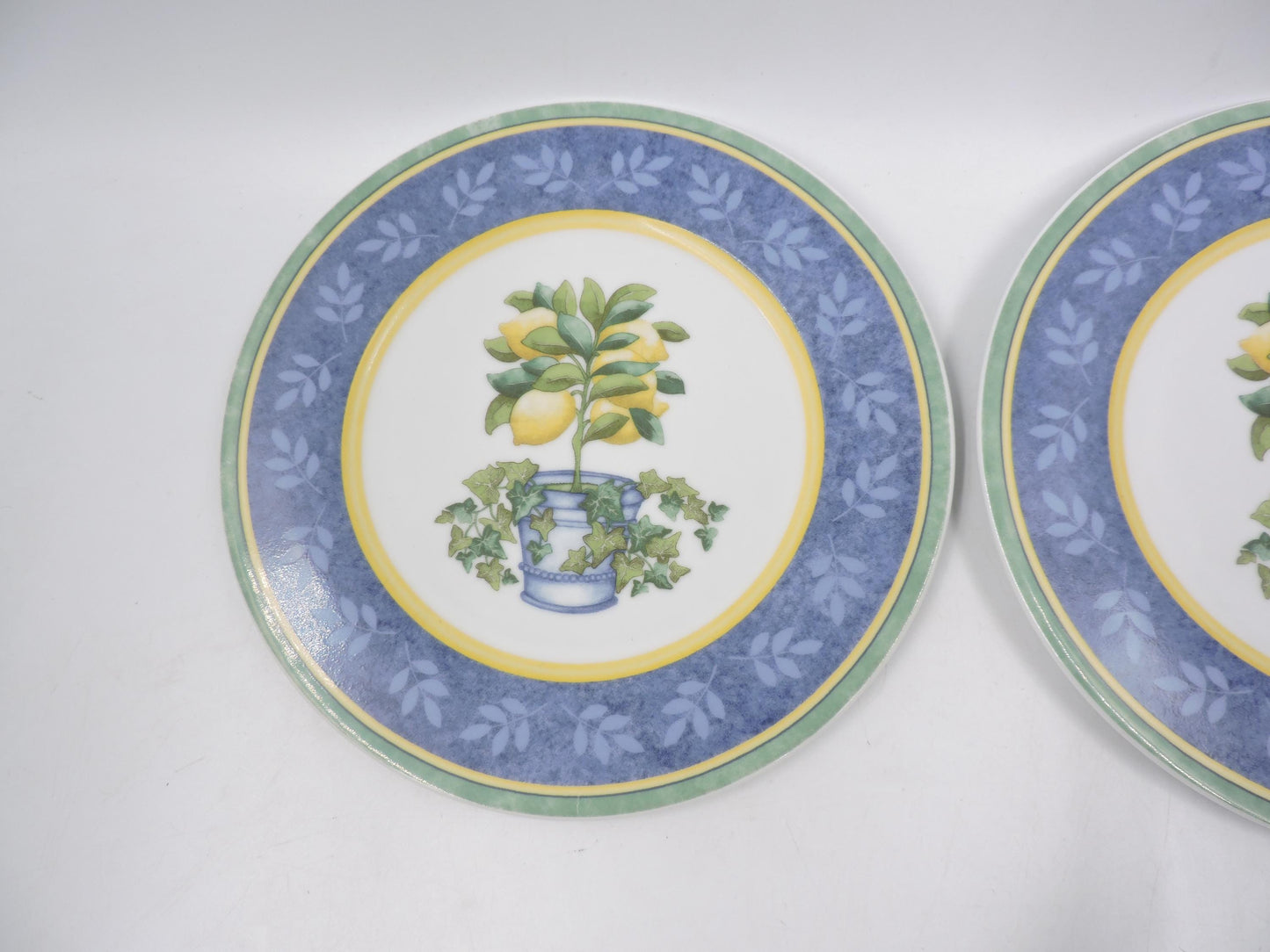 Villeroy & Boch Switch 3 Corfu Salad Plates 2Pcs