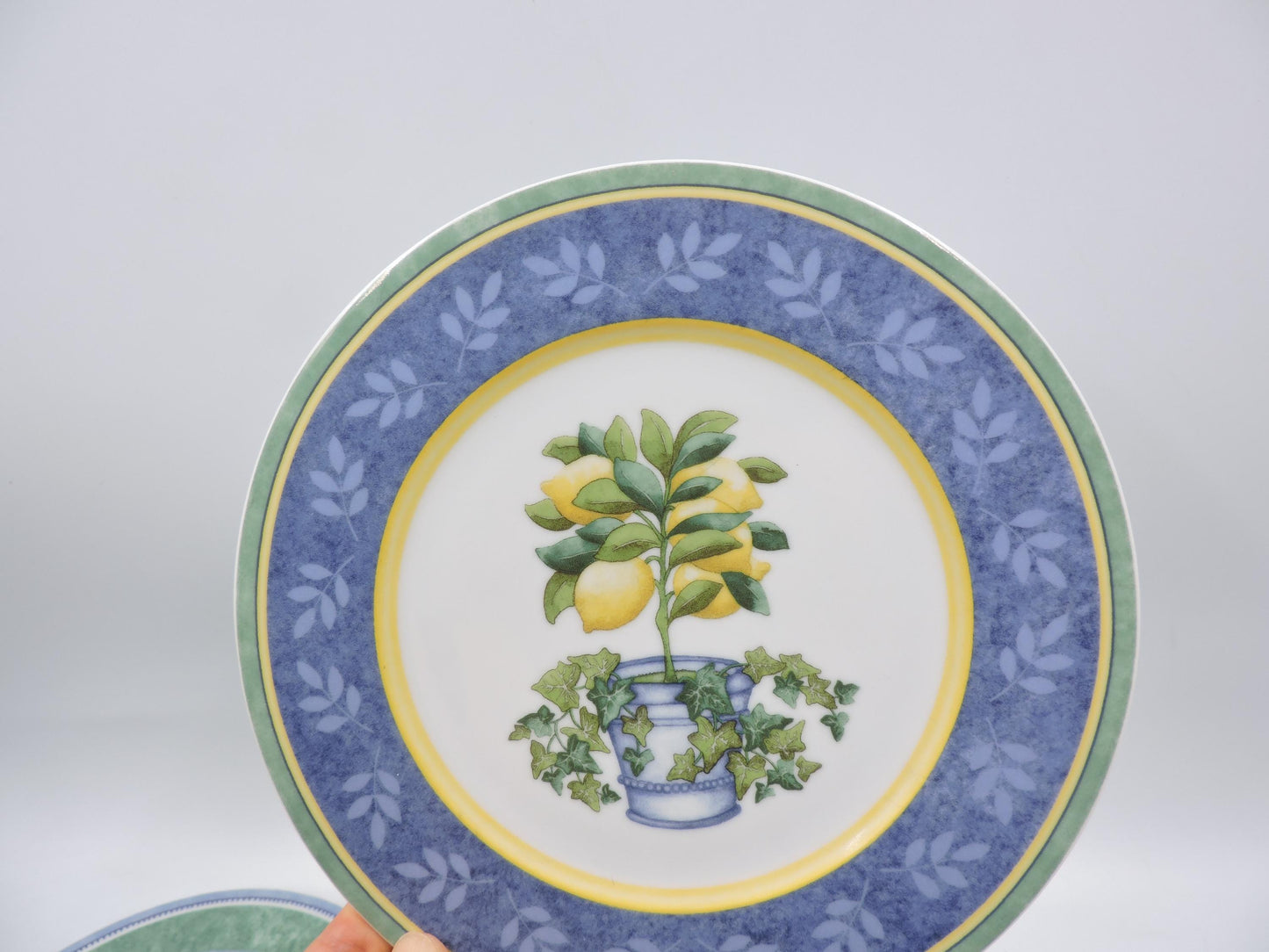Villeroy & Boch Switch 3 Corfu and Costa Salad Plates