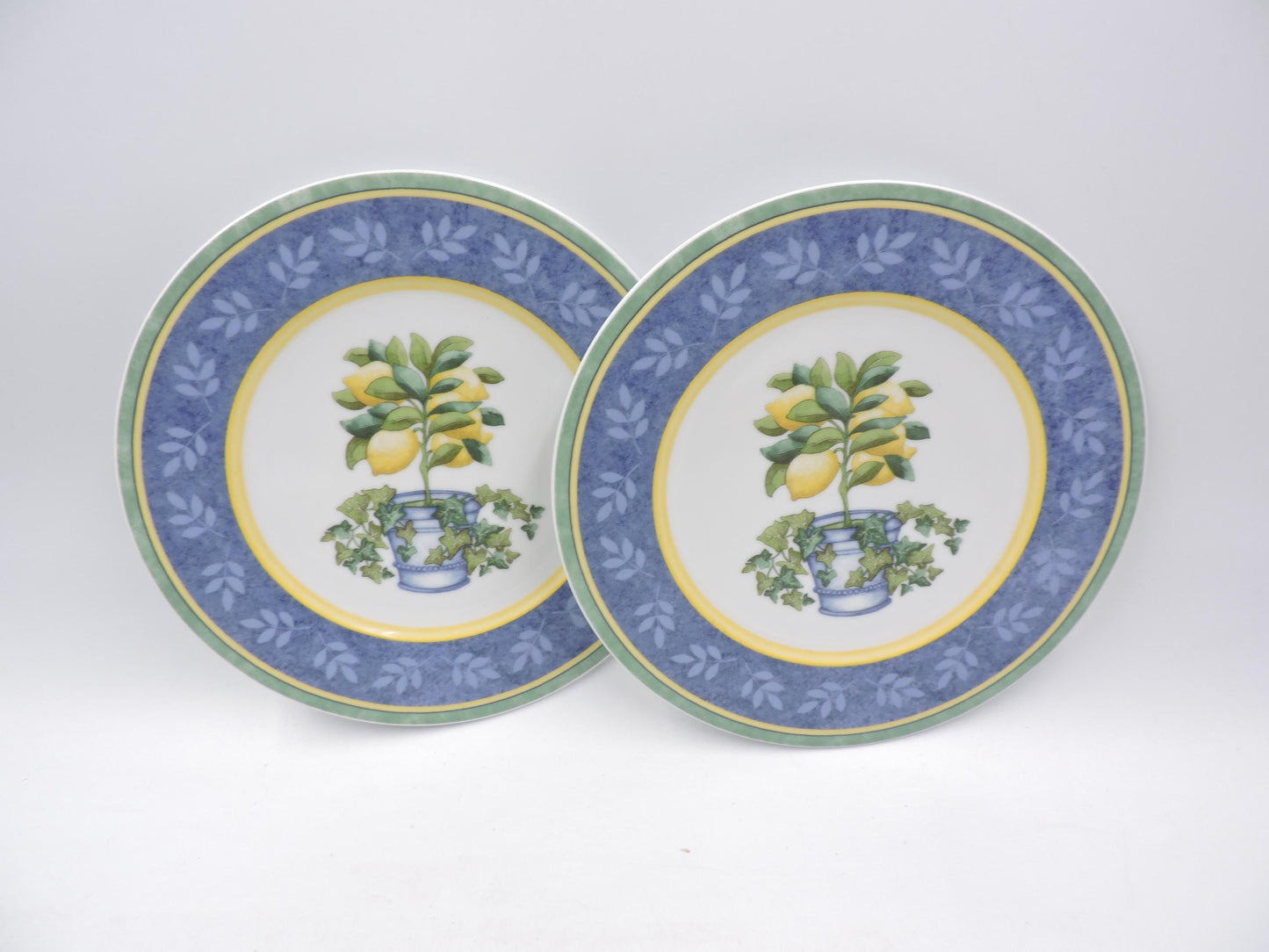 Villeroy & Boch Switch 3 Corfu Salad Plates 2Pcs