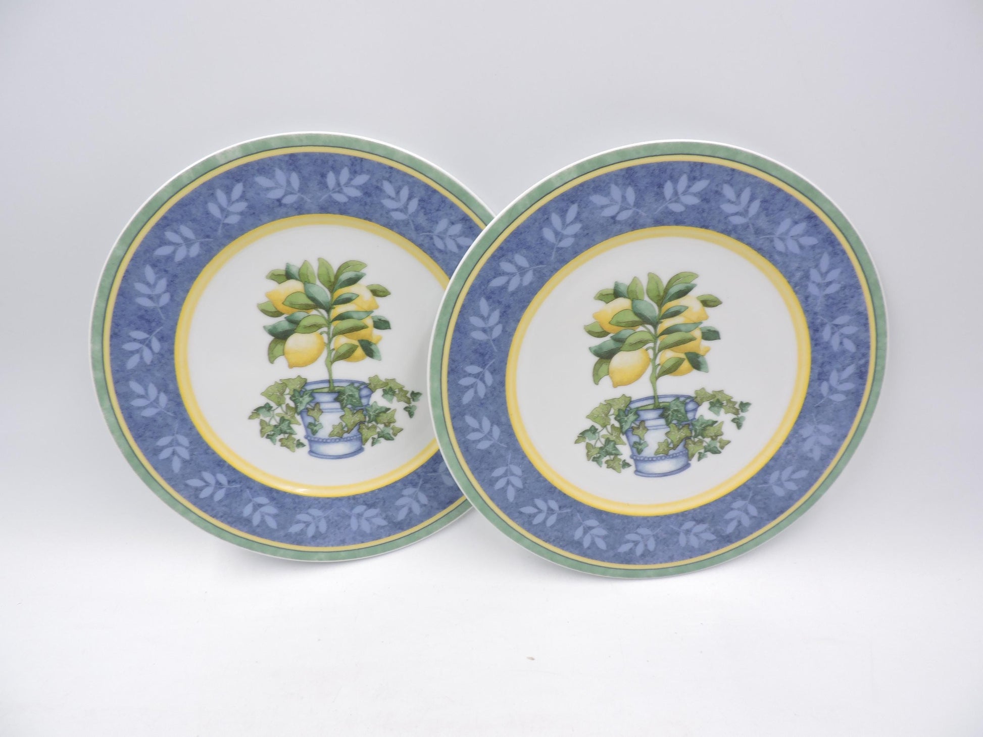 Villeroy & Boch Switch 3 Corfu Salad Plates 2Pcs