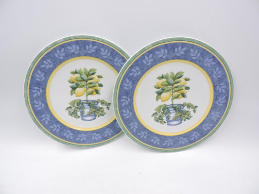 Villeroy & Boch Switch 3 Corfu Salad Plates 2Pcs