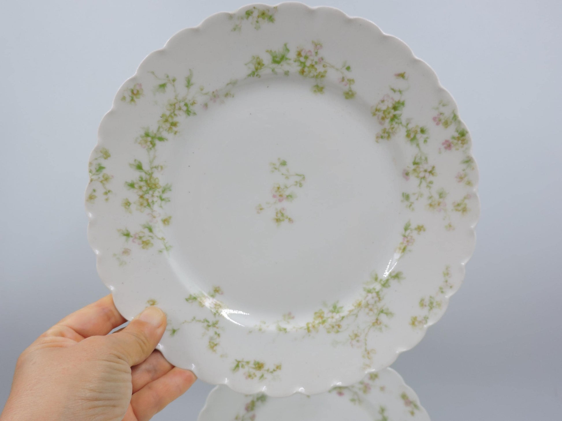 Antique Haviland & Co Salad Plate Set of 3