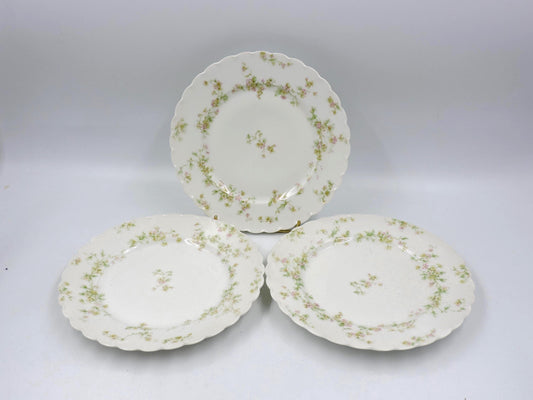 Antique Haviland & Co Salad Plate Set of 3