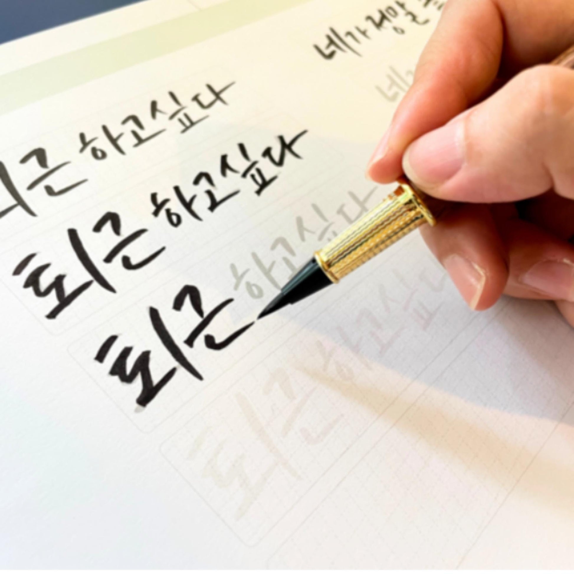 Calligraphy Starter Kit with Fountain & Brush Pen